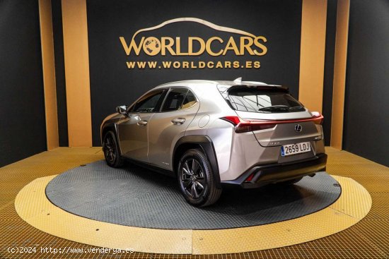 Lexus UX 2.0 250h Business Navigation - Elche