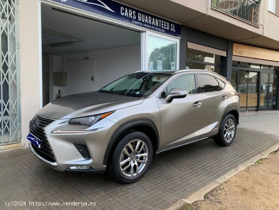  Lexus NX 300h AWD hybrid Executive navigation - Palamós 