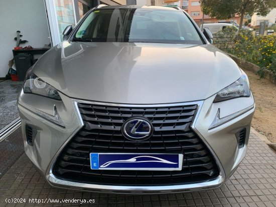 Lexus NX 300h AWD hybrid Executive navigation - Palamós