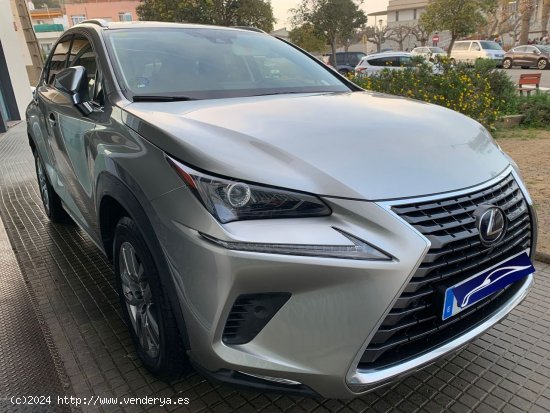 Lexus NX 300h AWD hybrid Executive navigation - Palamós