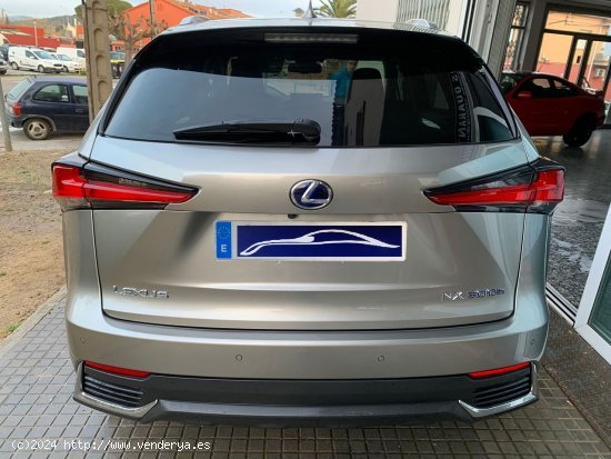 Lexus NX 300h AWD hybrid Executive navigation - Palamós