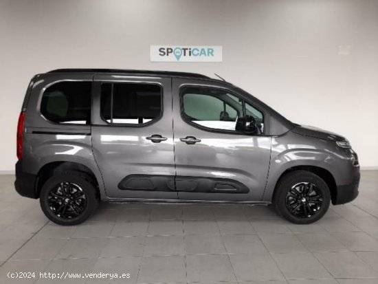 Citroën Berlingo 1.5 BLUEHDI 130 TALLA M SHINE AUTO 5P (N1) - Sabadell