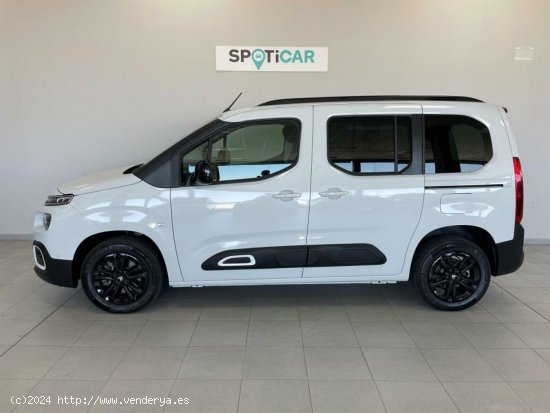 Citroën Berlingo Talla M ë-Berlingo 50 kWh SHINE - Sabadell