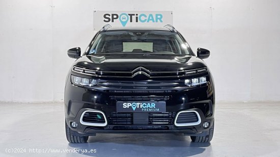 Citroën C5 Aircross  225 e-EAT8 Feel - Mataro