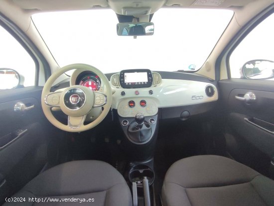 Fiat 500   1.0 Hybrid 51KW (70 CV) Dolcevita - Mataro