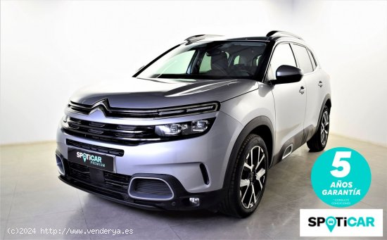 Citroën C5 Aircross  BlueHdi 96kW (130CV) S&S Shine - zaragoza