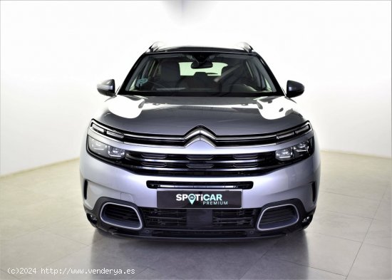 Citroën C5 Aircross  BlueHdi 96kW (130CV) S&S Shine - zaragoza