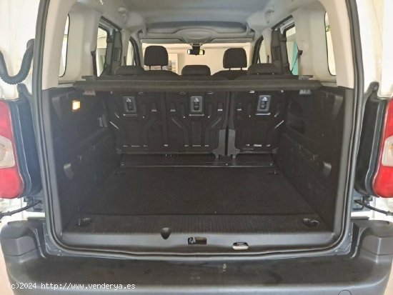 Citroën Berlingo  Talla M BlueHDi 100 S&S Live Pack - Figueres