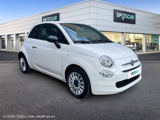 Fiat 500   1.0 Hybrid 51KW (70 CV) Cult - castellon