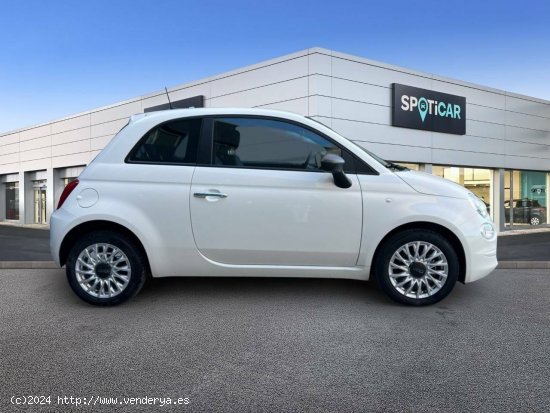 Fiat 500   1.0 Hybrid 51KW (70 CV) Cult - castellon