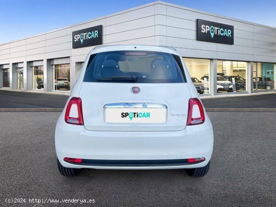 Fiat 500   1.0 Hybrid 51KW (70 CV) Cult - castellon