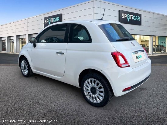 Fiat 500   1.0 Hybrid 51KW (70 CV) Cult - castellon