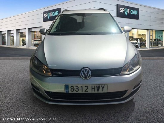 Volkswagen Golf   1.6 TDI 110cv Bluemotion Business & Navi - Madrid