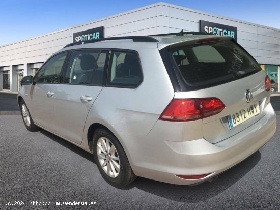 Volkswagen Golf   1.6 TDI 110cv Bluemotion Business & Navi - Madrid