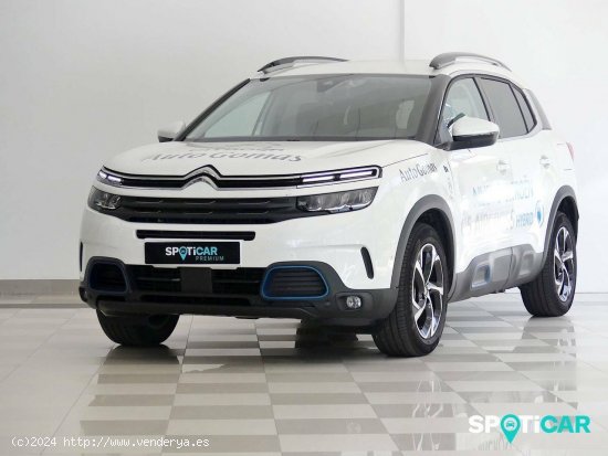 Citroën C5 Aircross  225 e-EAT8 Feel - Santander