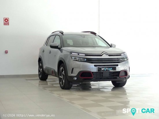 Citroën C5 Aircross  BlueHdi 96kW (130CV) S&S C Series - Santander