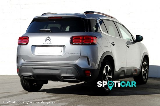 Citroën C5 Aircross  BlueHdi 96kW (130CV) S&S EAT8 C Series - Santander