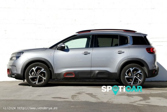 Citroën C5 Aircross  BlueHdi 96kW (130CV) S&S EAT8 C Series - Santander