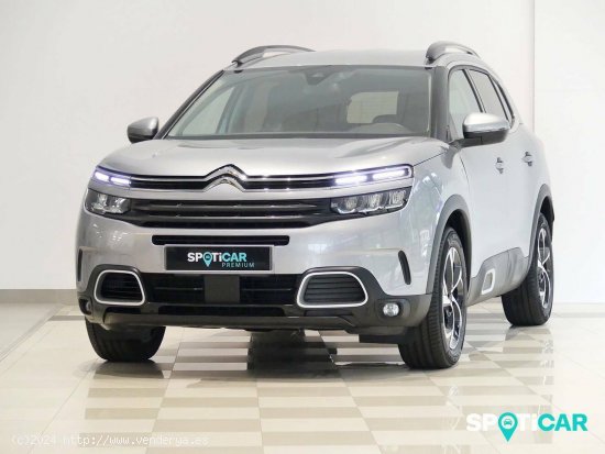  Citroën C5 Aircross  BlueHdi 96kW (130CV) S&S EAT8 C Series - Santander 