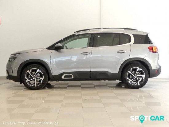 Citroën C5 Aircross  BlueHdi 96kW (130CV) S&S EAT8 Feel - Santander