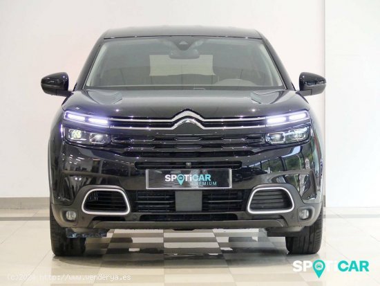 Citroën C5 Aircross  BlueHdi 96kW (130CV) S&S EAT8 Feel - Santander