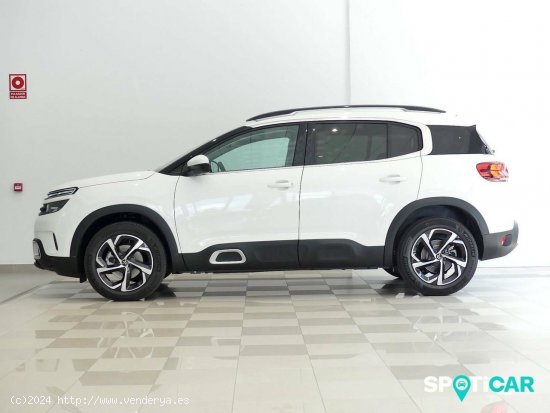 Citroën C5 Aircross  BlueHdi 96kW (130CV) S&S Feel - Santander