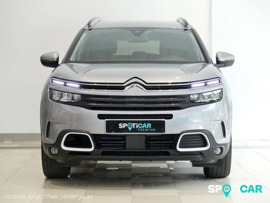 Citroën C5 Aircross  PureTech 96kW (130CV) S&S EAT8 Feel - Santander