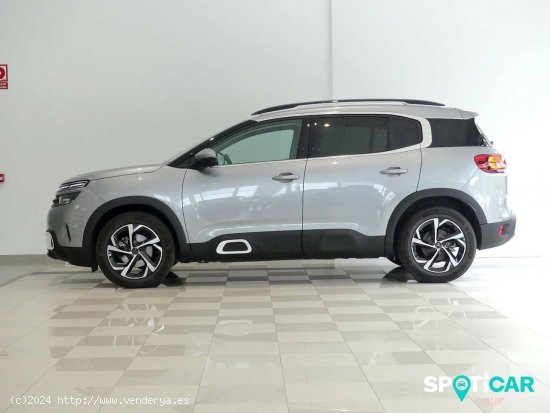 Citroën C5 Aircross  PureTech 96kW (130CV) S&S EAT8 Feel - Santander