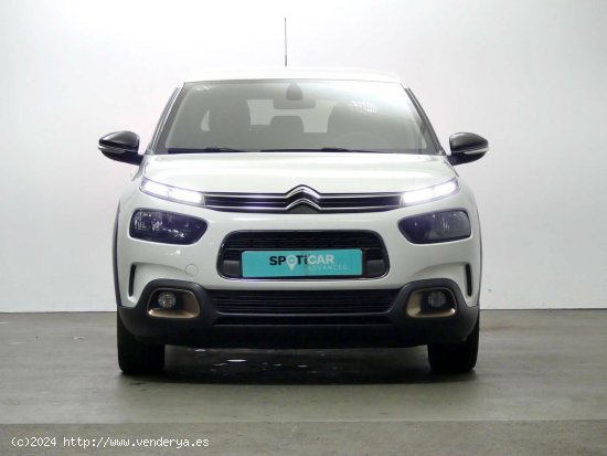 Citroën C4 Cactus  BlueHDi 74KW (100CV) S&S Shine - Granda (Siero)