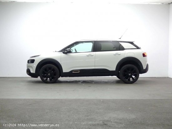 Citroën C4 Cactus  BlueHDi 74KW (100CV) S&S Shine - Granda (Siero)