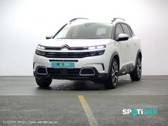  Citroën C5 Aircross  225 e-EAT8 Shine - Granda (Siero) 