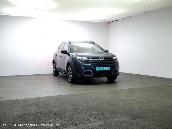 Citroën C5 Aircross  BlueHdi 132kW (180CV) S&S EAT8 Feel - Granda (Siero)