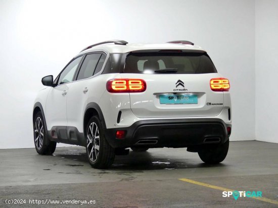 Citroën C5 Aircross  BlueHdi 96kW (130CV) S&S EAT8 Shine - Granda (Siero)