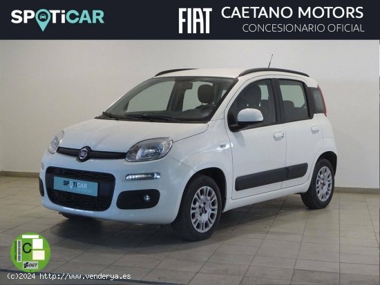 Fiat Panda  1.2  69cv Lounge - Cadiz