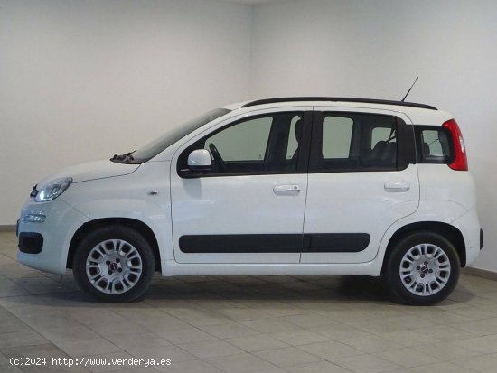 Fiat Panda  1.2  69cv Lounge - Cadiz