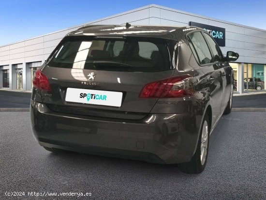 Peugeot 308  5p  PureTech 110 S&S Active Pack - Cadiz