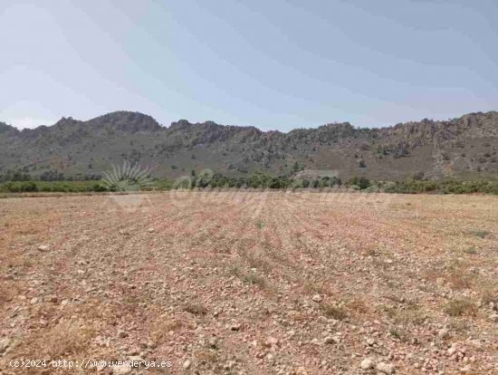 Suelo rústico en Venta en Yecla Murcia