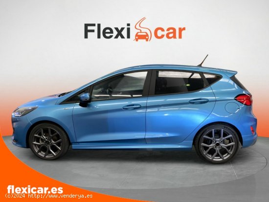 Ford Fiesta 1.0 EcoBoost MHEV 92kW (125CV) Trend 5p - El Zabal