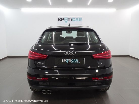 Audi Q3 Sport ed 2.0 TDI 110kW (150CV) S tronic - Valencia