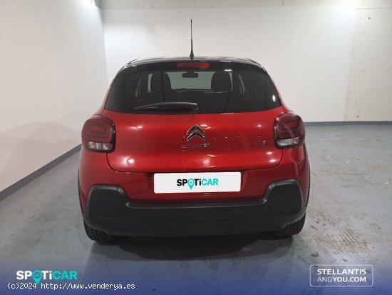 Citroën C3  BlueHDi 75KW (100CV) S&S Shine - Sant Feliu de Llobregat