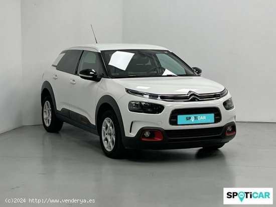 Citroën C4 Cactus  PureTech 110 S&S Shine Pack - Girona