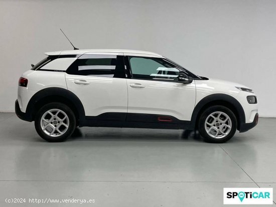 Citroën C4 Cactus  PureTech 110 S&S Shine Pack - Girona