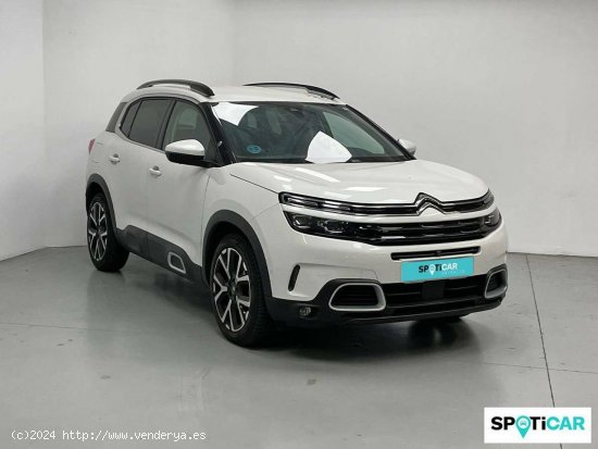 Citroën C5 Aircross  BlueHdi 96kW (130CV) S&S EAT8 Feel - Girona