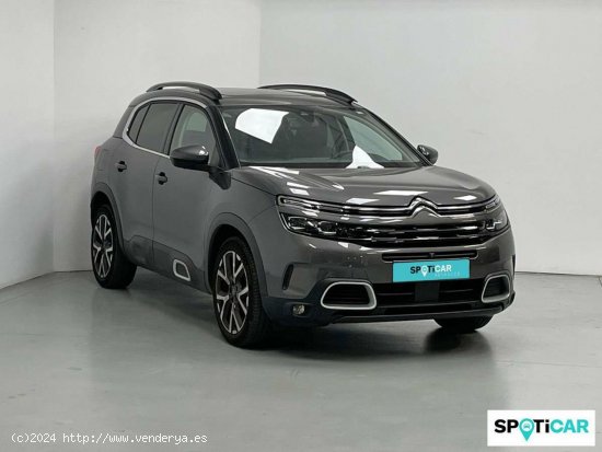 Citroën C5 Aircross  PureTech 132kW (180CV) S&S EAT8 Shine - Girona