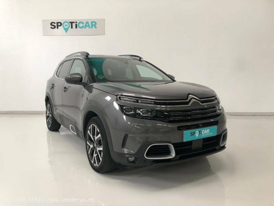 Citroën C5 Aircross  BlueHdi 96kW (130CV) S&S EAT8 Shine - Carbajosa de la Sagrada