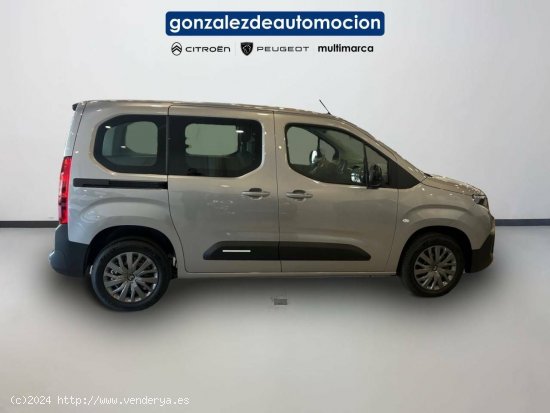 Citroën Berlingo  Talla M BlueHDi 100 S&S Plus - Úbeda