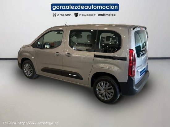 Citroën Berlingo  Talla M BlueHDi 100 S&S Plus - Úbeda