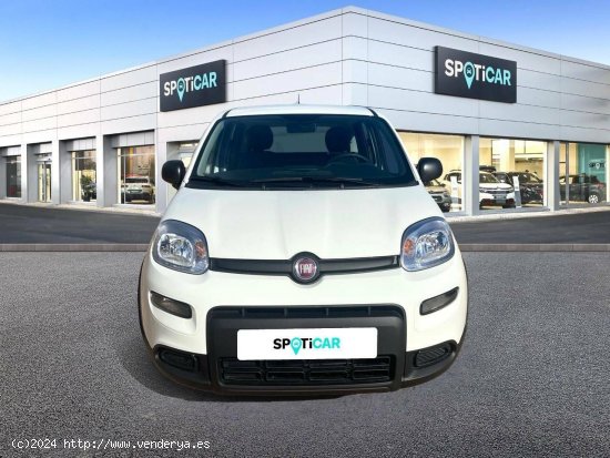 Fiat Panda  Panda Hybrid 1.0 51kw (70CV) - - CANET D EN BERENGUER