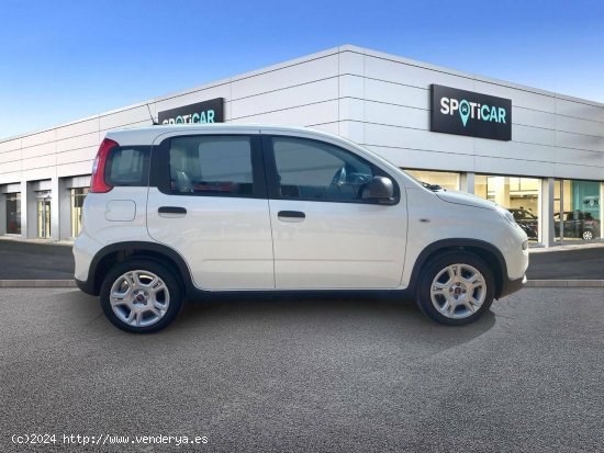 Fiat Panda  Panda Hybrid 1.0 51kw (70CV) - - CANET D EN BERENGUER