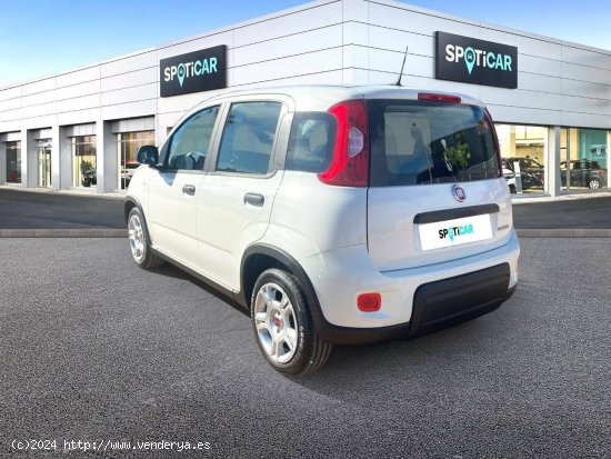 Fiat Panda  Panda Hybrid 1.0 51kw (70CV) - - CANET D EN BERENGUER